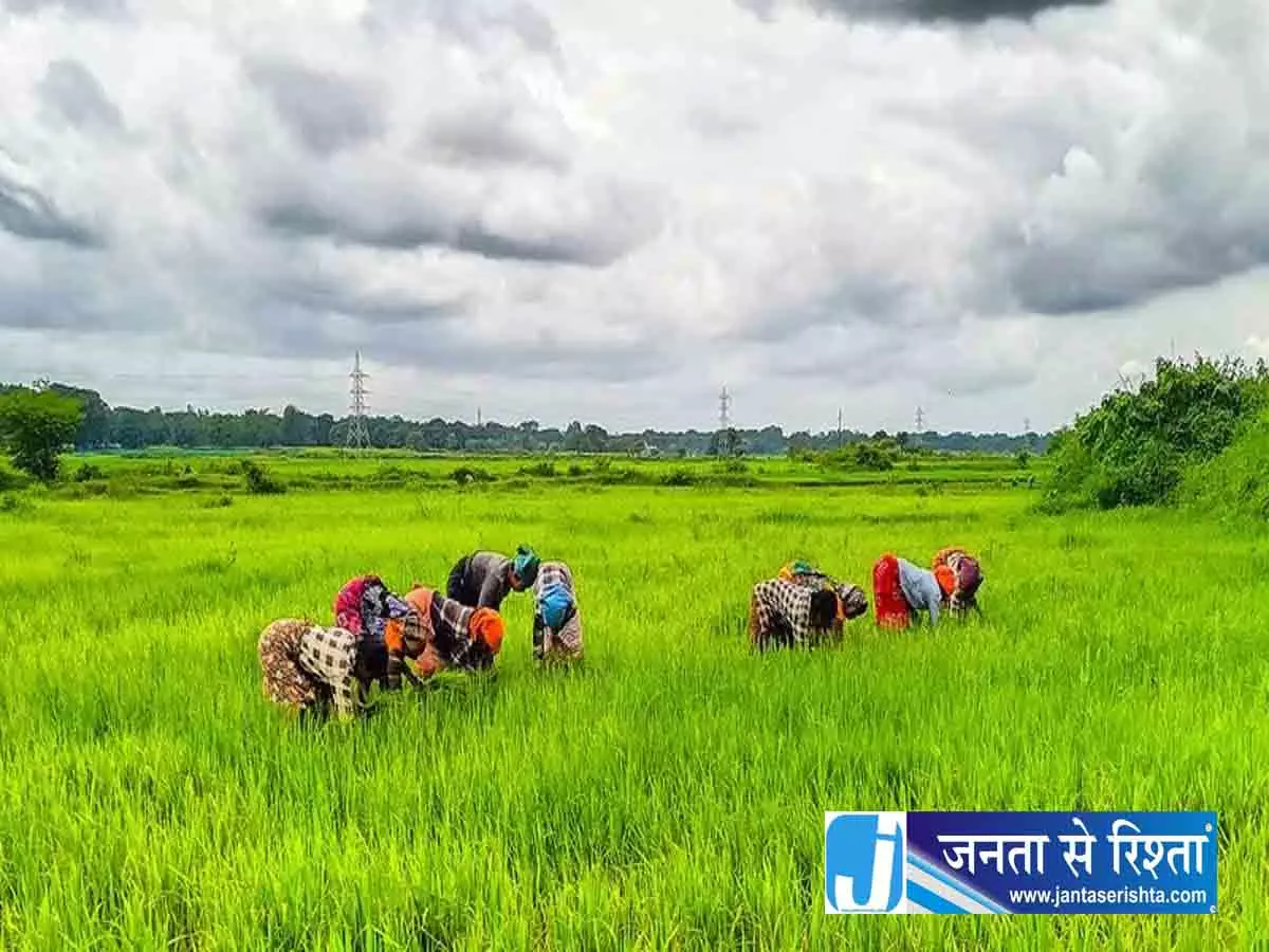 प्राकृतिक खेती की ओर कदम: 18 लाख किसान पुनर्योजी कृषि से जुड़े प्राकृतिक खेती की ओर कदम: 18 लाख किसान पुनर्योजी कृषि से जुड़े