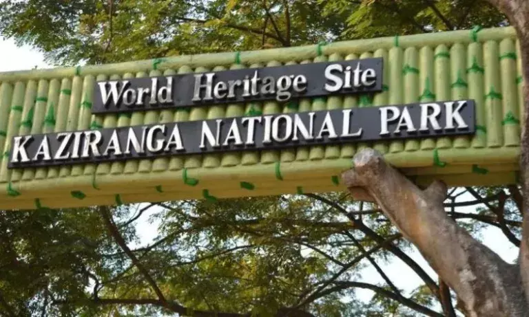 IUCN का अलर्ट: पर्यटन और जमीन बदलाव से संकट में काज़ीरंगा IUCN का अलर्ट: पर्यटन और जमीन बदलाव से संकट में काज़ीरंगा