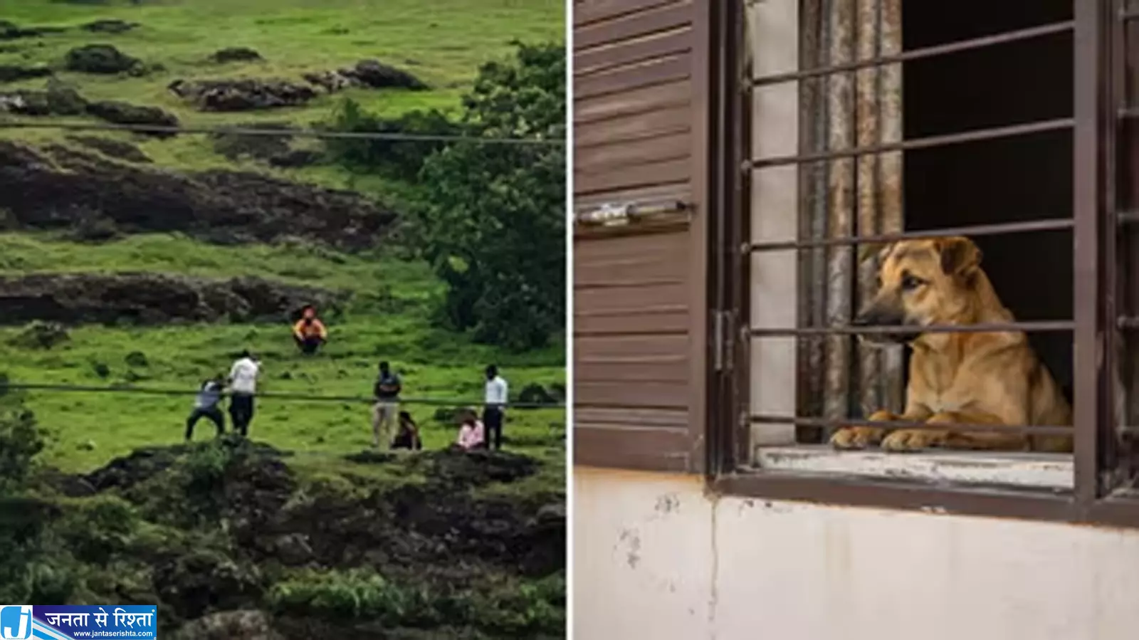 मालिक लौटेंगे इसी आस में बैठा रहा कुत्ता परिवार की दर्दनाक कहानी ने झकझोरा मालिक लौटेंगे इसी आस में बैठा रहा कुत्ता परिवार की दर्दनाक कहानी ने झकझोरा