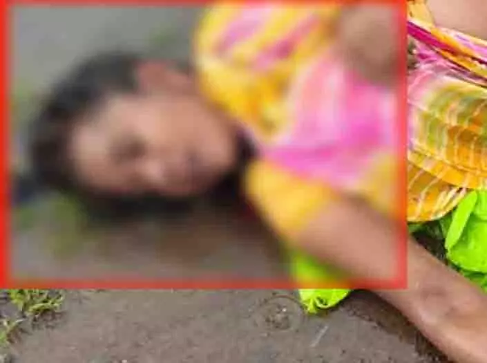 खेत से घर लौट रही महिला पर गिरी बिजली, मौके पर हुई मौत खेत से घर लौट रही महिला पर गिरी बिजली, मौके पर हुई मौत