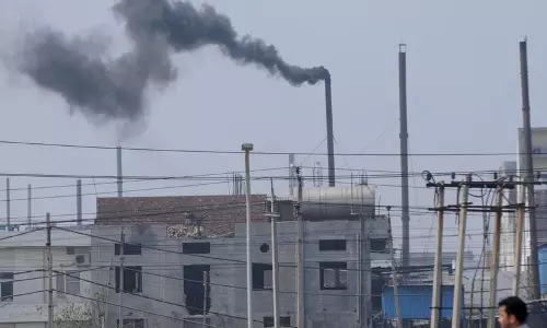 बहादुरगढ़ की इंडस्ट्रीज़ को NGT की प्रदूषण जांच का सामना करना पड़ रहा