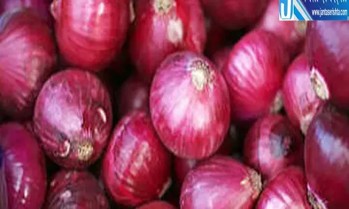 प्याज की महंगाई पर सरकार का बड़ा एक्शन आज से दौड़ेगी कांदा एक्सप्रेस
