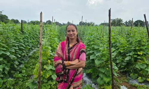 कल्पना बनीं लखपति दीदी, कहानी प्रेरक मिसाल है