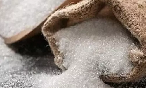 त्योहारी सीजन से पहले चीनी की कीमतों पर सरकार अलर्ट त्योहारी सीजन से पहले चीनी की कीमतों पर सरकार अलर्ट