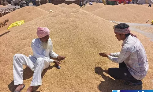 Amritsar आटा 3 रुपये महंगा चीनी 75 के पार Amritsar आटा 3 रुपये महंगा चीनी 75 के पार