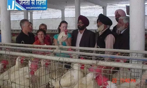 Ludhiana के बिजनेसमैन का पोल्ट्री कारोबार हिट Ludhiana के बिजनेसमैन का पोल्ट्री कारोबार हिट