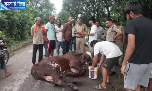 ट्रैक्टर-ट्रॉली से बांधकर गोवंश को सड़क पर घसीटा, शरीर पर गहरे घाव; आरोपी हिरासत में ट्रैक्टर-ट्रॉली से बांधकर गोवंश को सड़क पर घसीटा, शरीर पर गहरे घाव; आरोपी हिरासत में