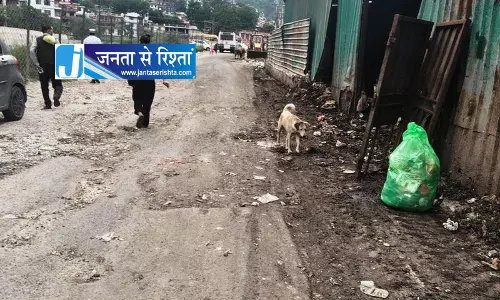 कुल्लू के सरवारी में चलेगा पौधारोपण अभियान