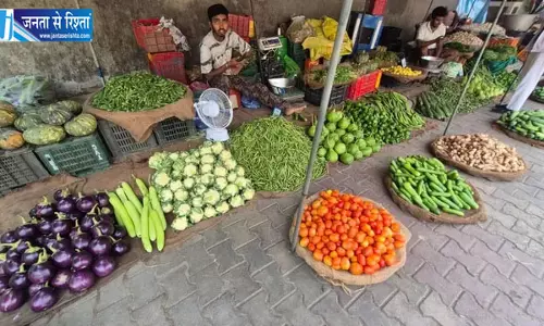 कमजोर मानसून से महंगी हुई सब्जियां, बिगड़ा रसोई का बजट कमजोर मानसून से महंगी हुई सब्जियां, बिगड़ा रसोई का बजट