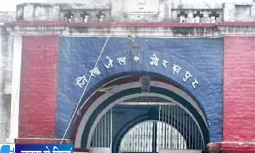 फरार कैदी और पेड़ की डाल का कनेक्शन जांच पूरी होने तक सुरक्षित रहेगा पेड़ फरार कैदी और पेड़ की डाल का कनेक्शन जांच पूरी होने तक सुरक्षित रहेगा पेड़