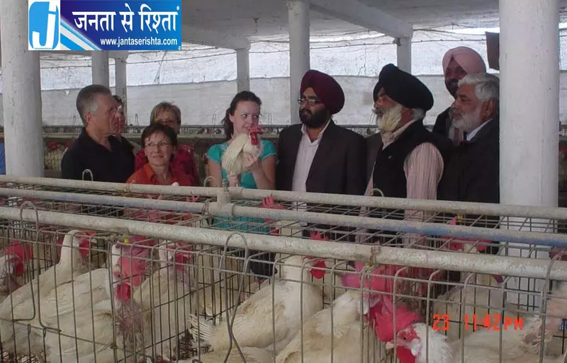 Ludhiana के बिजनेसमैन का पोल्ट्री कारोबार हिट Ludhiana के बिजनेसमैन का पोल्ट्री कारोबार हिट