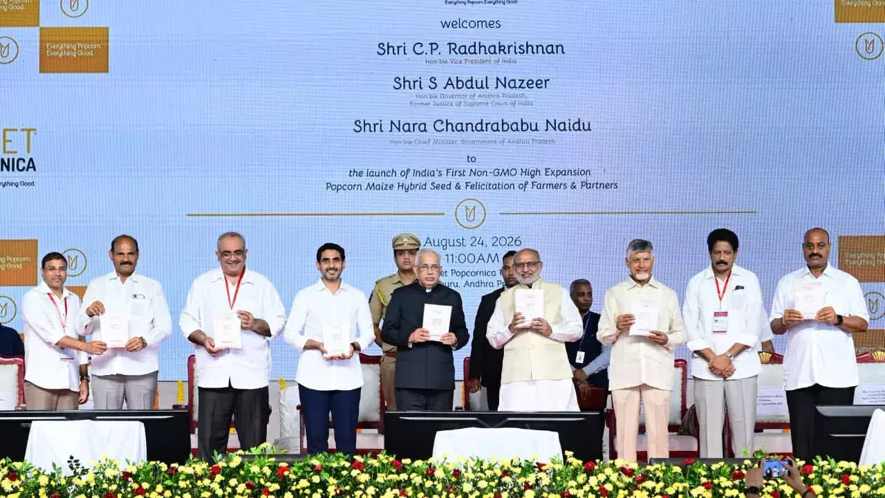 आंध्र प्रदेश में कृषि क्रांति: सीएम नायडू ने लॉन्च किया हाइब्रिड पॉपकॉर्न बीज आंध्र प्रदेश में कृषि क्रांति: सीएम नायडू ने लॉन्च किया हाइब्रिड पॉपकॉर्न बीज