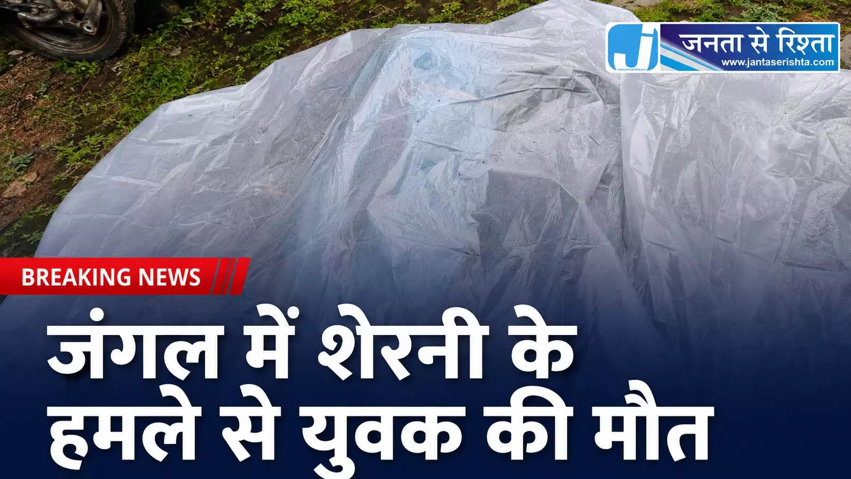 जंगल में शेरनी के हमले से युवक की मौत जंगल में शेरनी के हमले से युवक की मौत