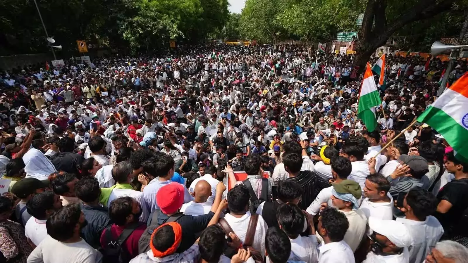 कॉकरोच जनता पार्टी CJP ने फिर प्रदर्शन का ऐलान किया कॉकरोच जनता पार्टी CJP ने फिर प्रदर्शन का ऐलान किया