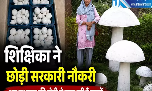 हिम्मत और मेहनत से बदली तकदीर नौकरी छोड़ी अब दे रहीं रोजगार
