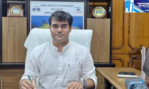मौसमी प्रतिबंध हटते ही हिमाचल के जलाशयों में बढ़ी मछलियों की उपलब्धता मौसमी प्रतिबंध हटते ही हिमाचल के जलाशयों में बढ़ी मछलियों की उपलब्धता