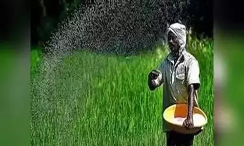 खाद संकट पर राहत की खबर फर्टिलाइजर शेयरों में आई ताबड़तोड़ खरीदारी