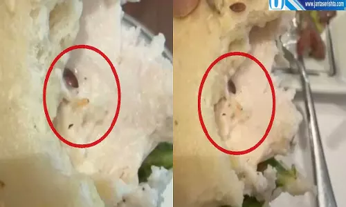 गुरुग्राम के PAUL रेस्टोरेंट में खाने में मिला जिंदा कीड़ा वायरल वीडियो से मचा हड़कंप