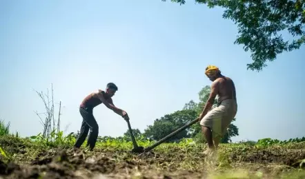 Mumbai: किसान कर्जमाफी योजना की दूसरी किश्त जारी, किसानों को मिली राहत Mumbai: किसान कर्जमाफी योजना की दूसरी किश्त जारी, किसानों को मिली राहत