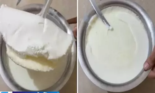 दूध रहेगा ज्यादा गाढ़ा मलाई होगी मोटी जानिए 156 का कमाल