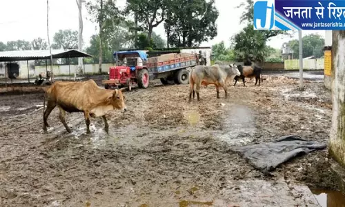 बड़ी कांटी गोशाला में बदहाली पर मंडलायुक्त सख्त, सीवीओ व एडीओ पंचायत के निलंबन की संस्तुति
