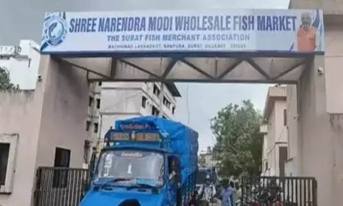 मछली बाजार के नाम पर सियासी घमासान व्यापारियों ने कहा फैसला गलत