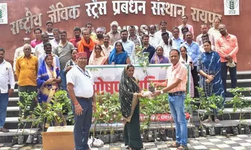 ICAR-NIBSM द्वारा पोषण वाटिका पर प्रशिक्षण कार्यक्रम आयोजित ICAR-NIBSM द्वारा पोषण वाटिका पर प्रशिक्षण कार्यक्रम आयोजित