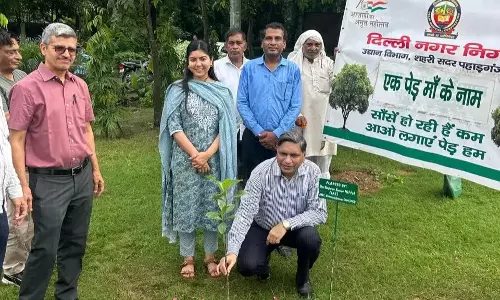 New Delhi: एमसीडी ने कुदसिया बाग में रोपे 100 से ज्यादा पौधे, पर्यावरण संरक्षण का दिया संदेश New Delhi: एमसीडी ने कुदसिया बाग में रोपे 100 से ज्यादा पौधे, पर्यावरण संरक्षण का दिया संदेश
