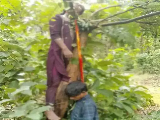 जंगल में युवक-युवती के मिले शव, पास में खड़ी थी बाइक, आत्महत्या की आशंका जंगल में युवक-युवती के मिले शव, पास में खड़ी थी बाइक, आत्महत्या की आशंका