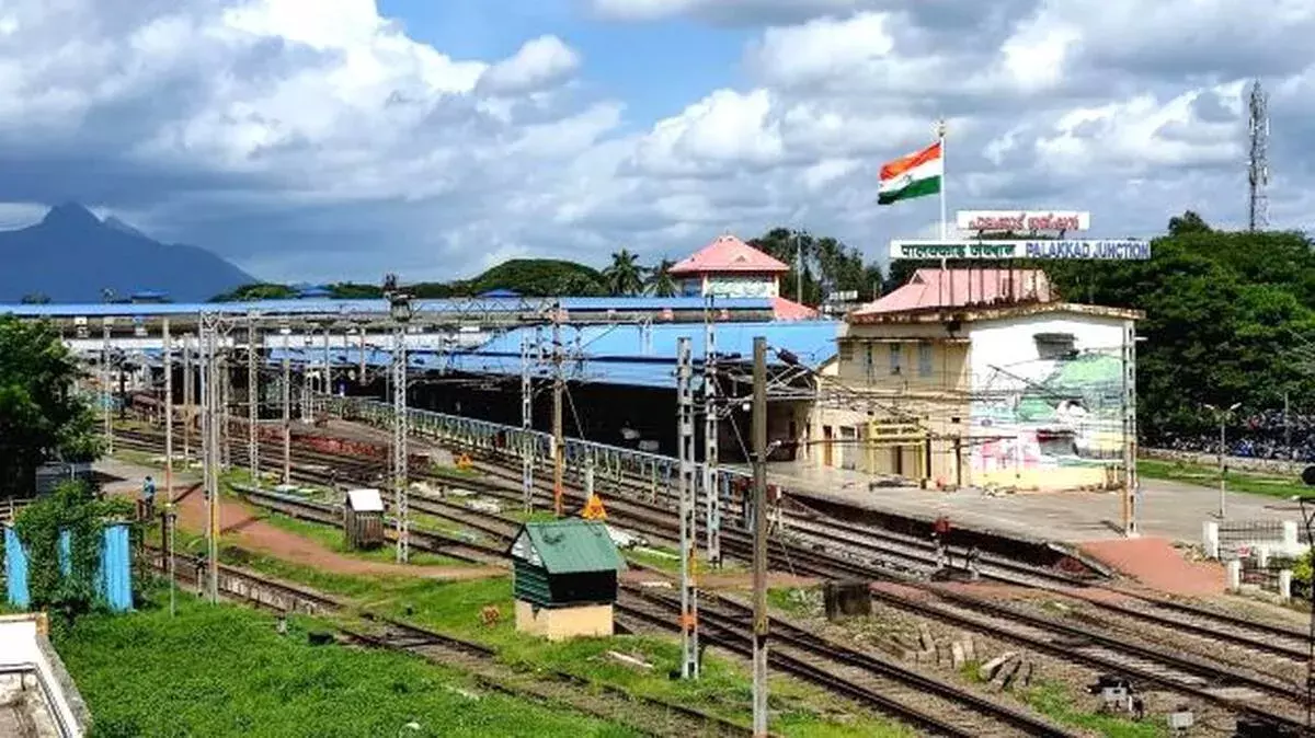 पनंबूर का नुकसान पड़ा महंगा, केरल की सालाना आय ₹1,100 करोड़ घटी पनंबूर का नुकसान पड़ा महंगा, केरल की सालाना आय ₹1,100 करोड़ घटी