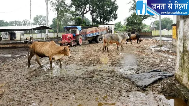 बड़ी कांटी गोशाला में बदहाली पर मंडलायुक्त सख्त, सीवीओ व एडीओ पंचायत के निलंबन की संस्तुति बड़ी कांटी गोशाला में बदहाली पर मंडलायुक्त सख्त, सीवीओ व एडीओ पंचायत के निलंबन की संस्तुति