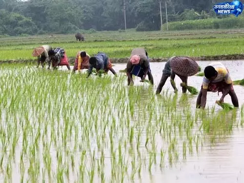 प्रदेश में लक्ष्य का 97 प्रतिशत बोनी पूर्ण प्रदेश में लक्ष्य का 97 प्रतिशत बोनी पूर्ण