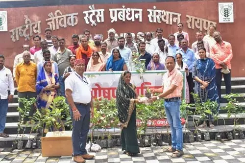 ICAR-NIBSM द्वारा पोषण वाटिका पर प्रशिक्षण कार्यक्रम आयोजित ICAR-NIBSM द्वारा पोषण वाटिका पर प्रशिक्षण कार्यक्रम आयोजित