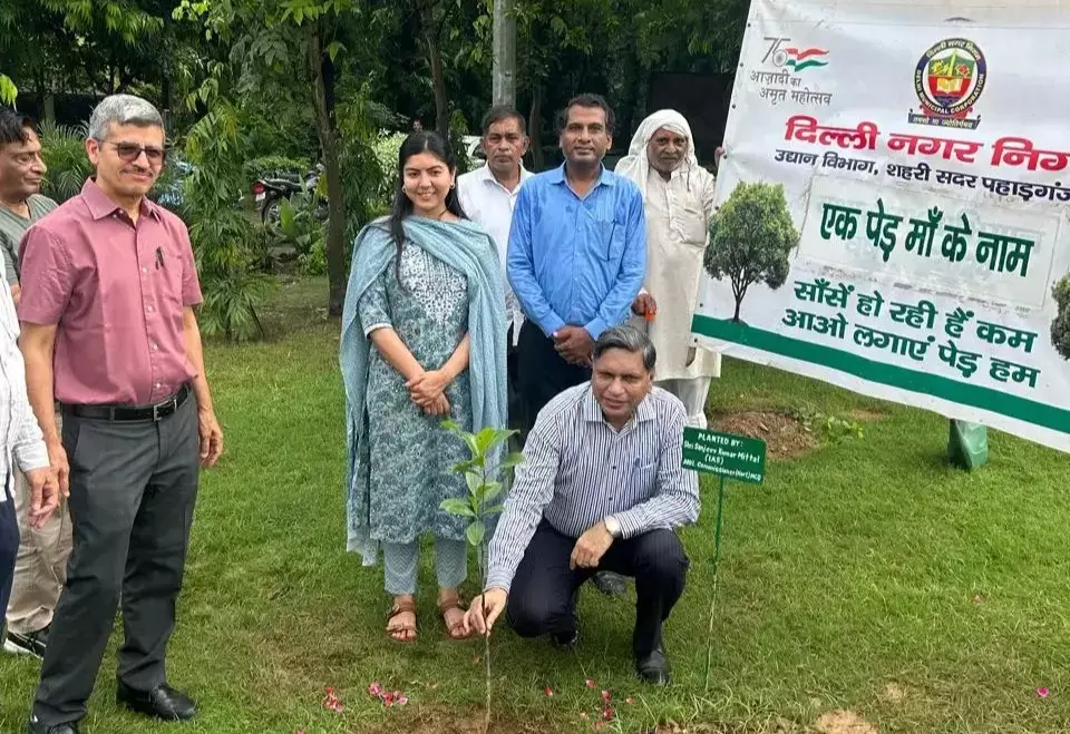 New Delhi: एमसीडी ने कुदसिया बाग में रोपे 100 से ज्यादा पौधे, पर्यावरण संरक्षण का दिया संदेश New Delhi: एमसीडी ने कुदसिया बाग में रोपे 100 से ज्यादा पौधे, पर्यावरण संरक्षण का दिया संदेश