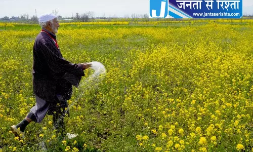Delhi धान के कीटनाशक पर लगेगा प्रतिबंध Delhi धान के कीटनाशक पर लगेगा प्रतिबंध