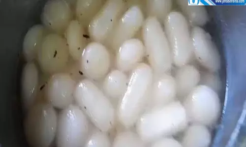 मिठाई की चाशनी में मिला कॉकरोच खाद्य विभाग ने नष्ट कराई 2 क्विंटल मिठाई मिठाई की चाशनी में मिला कॉकरोच खाद्य विभाग ने नष्ट कराई 2 क्विंटल मिठाई