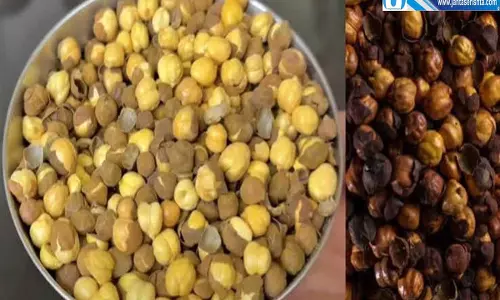 भुने चने में जहरीले रंग का इस्तेमाल सेहत के लिए बन सकता है खतरा