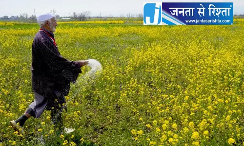 Delhi कीटनाशक प्रतिबंध से बदलेगी खेती की तस्वीर