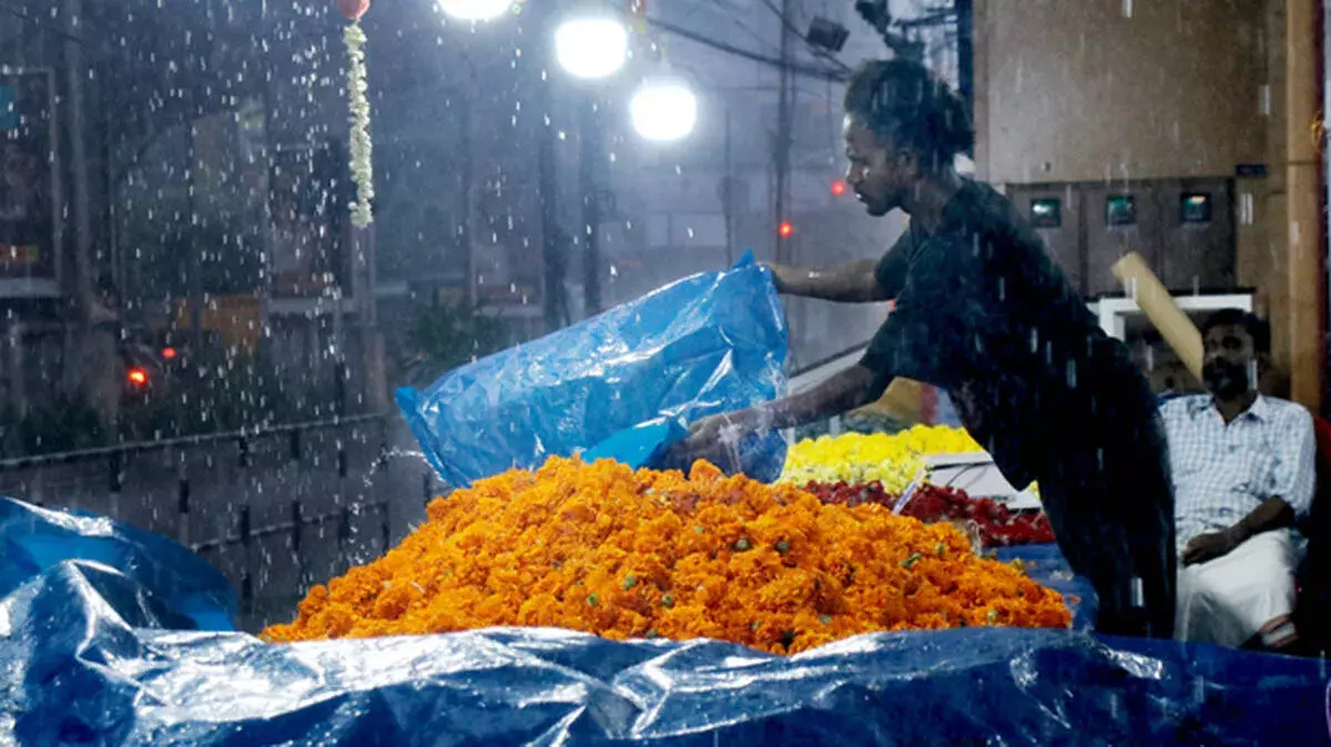 आज बारिश की संभावना; केरल के चार जिलों में येलो अलर्ट