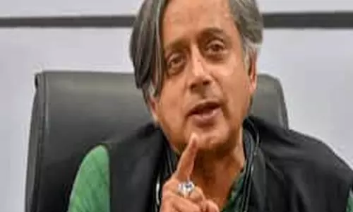 कॉकरोच ट्रेंड पर शशि थरूर का बयान युवाओं के समर्थन में उतरे