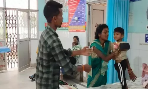 मच्छरदानी के अंदर घुसा जहरीला करैत सांप दो साल की बच्ची को काटा हालत स्थिर