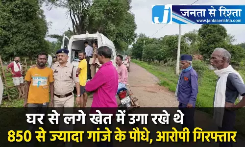 घर से लगे खेत में उगा रखे थे 850 से ज्यादा गांजे के पौधे, आरोपी गिरफ्तार