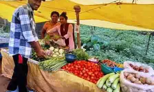 बहनों की खुशहाली का उपहार, विष्णु भैया की सरकार बहनों की खुशहाली का उपहार, विष्णु भैया की सरकार