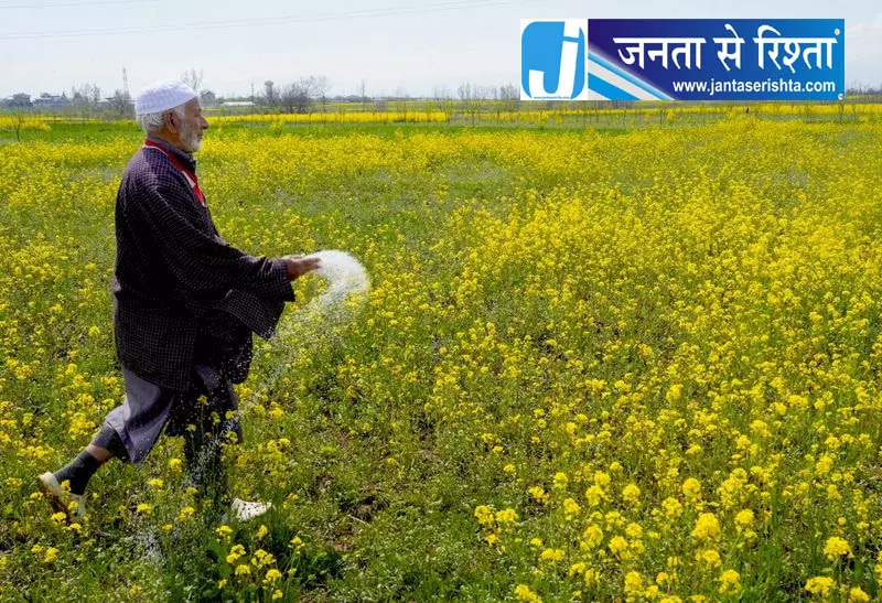 Delhi धान के कीटनाशक पर लगेगा प्रतिबंध Delhi धान के कीटनाशक पर लगेगा प्रतिबंध