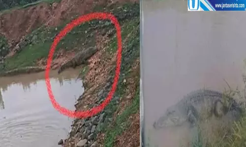 सोशल मीडिया की तस्वीर पर शुरू हुआ रेस्क्यू ऑपरेशन घंटों बाद खुला राज