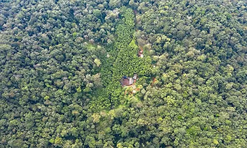 काली रिजर्व खदान मामले में कार्रवाई के आदेश काली रिजर्व खदान मामले में कार्रवाई के आदेश