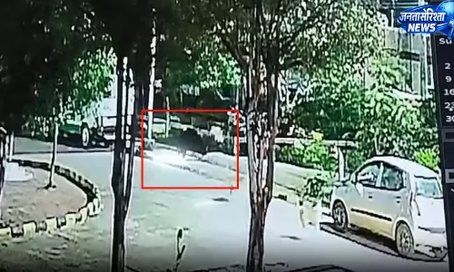 जिला अस्पताल में रात 1 बजे घुसा भालू, वीडियो वायरल जिला अस्पताल में रात 1 बजे घुसा भालू, वीडियो वायरल