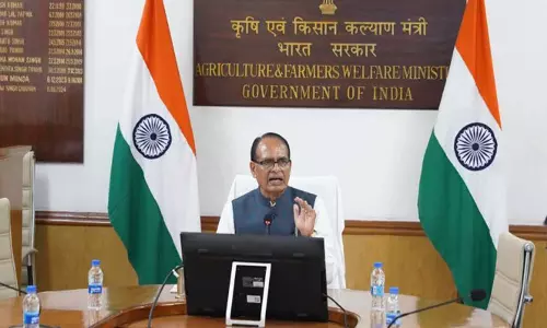 मूंग खरीदी और बीमा योजना पर केंद्र सरकार की नजर