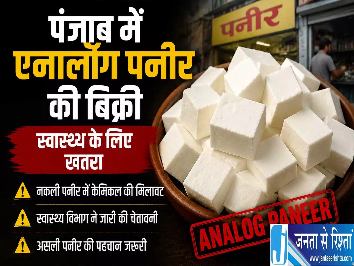 खाद्य सुरक्षा को लेकर पंजाब का बड़ा कदम एनालॉग पनीर बैन खाद्य सुरक्षा को लेकर पंजाब का बड़ा कदम एनालॉग पनीर बैन