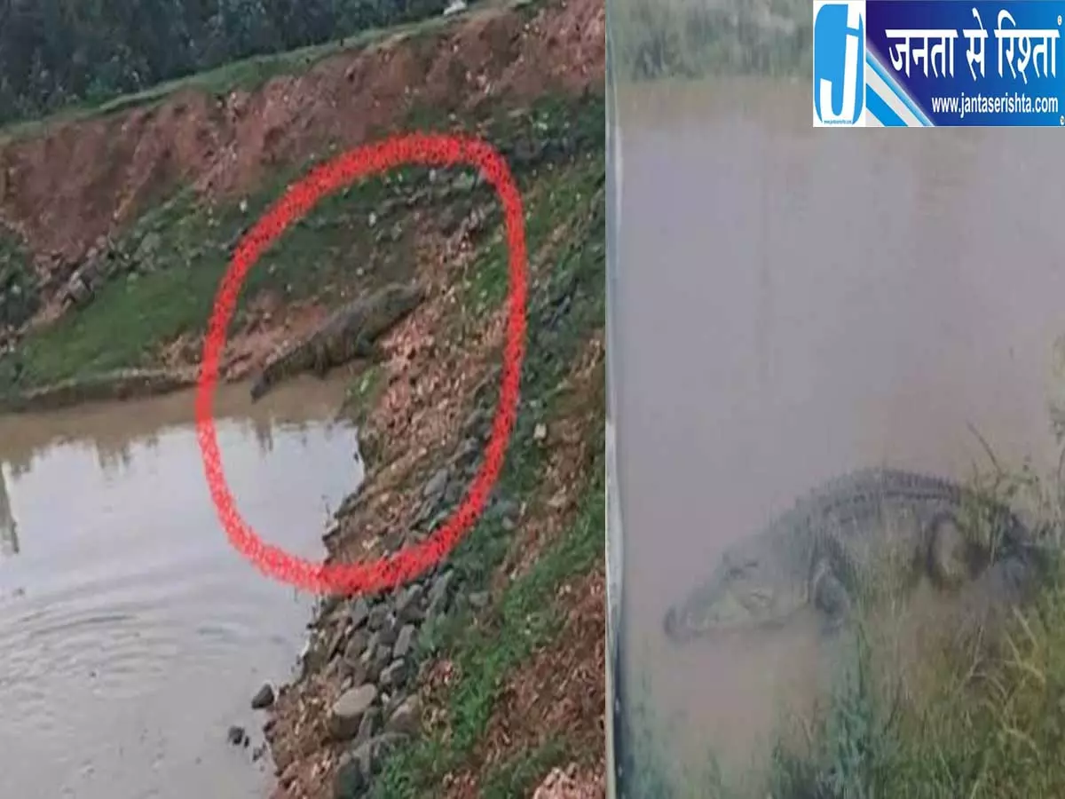 सोशल मीडिया की तस्वीर पर शुरू हुआ रेस्क्यू ऑपरेशन घंटों बाद खुला राज सोशल मीडिया की तस्वीर पर शुरू हुआ रेस्क्यू ऑपरेशन घंटों बाद खुला राज